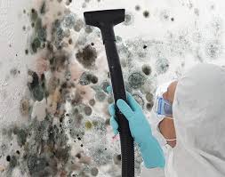 Best Environmental Consulting for Mold Prevention  in USA